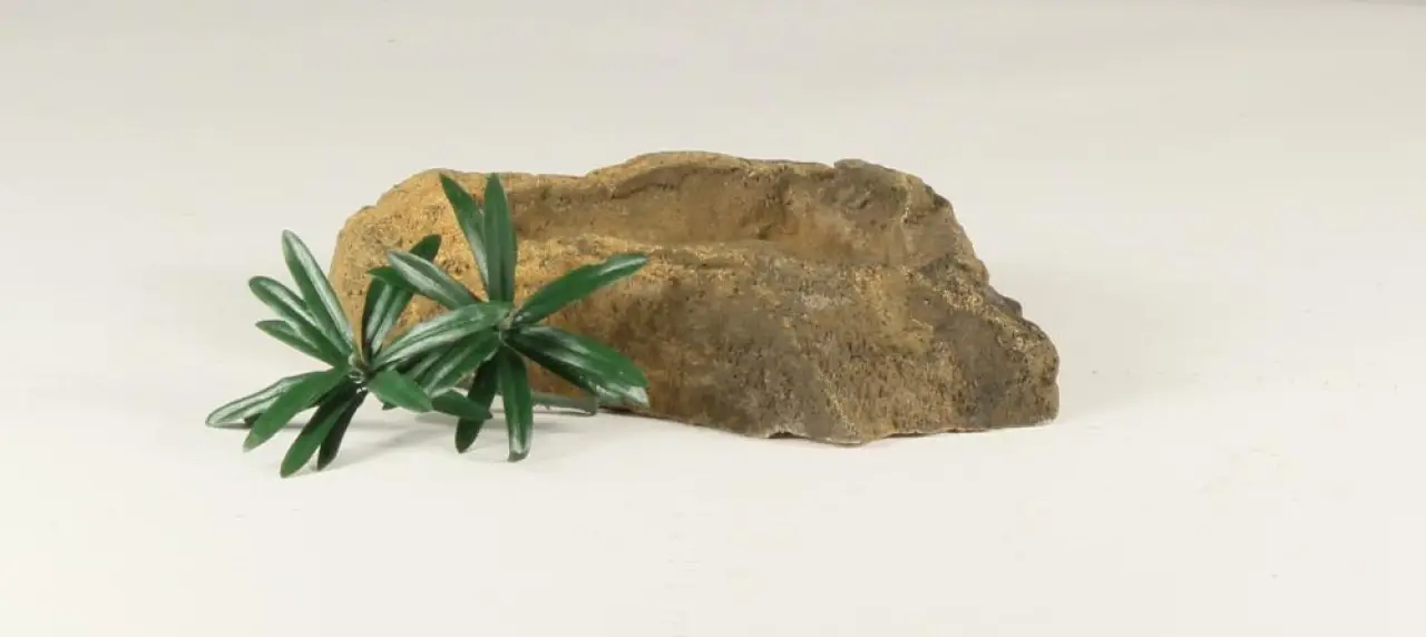Rock Bowl - 003