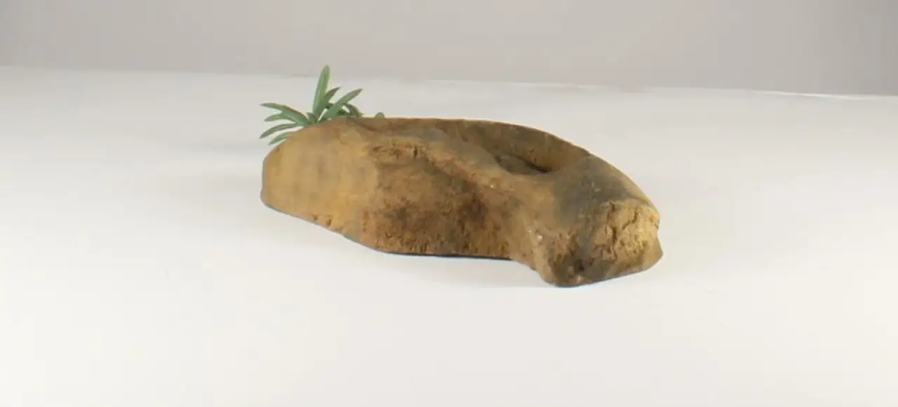 Rock Bowl - 005