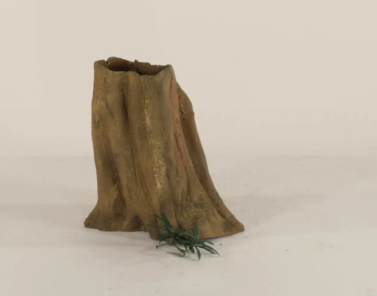 Cypress Stump - 002