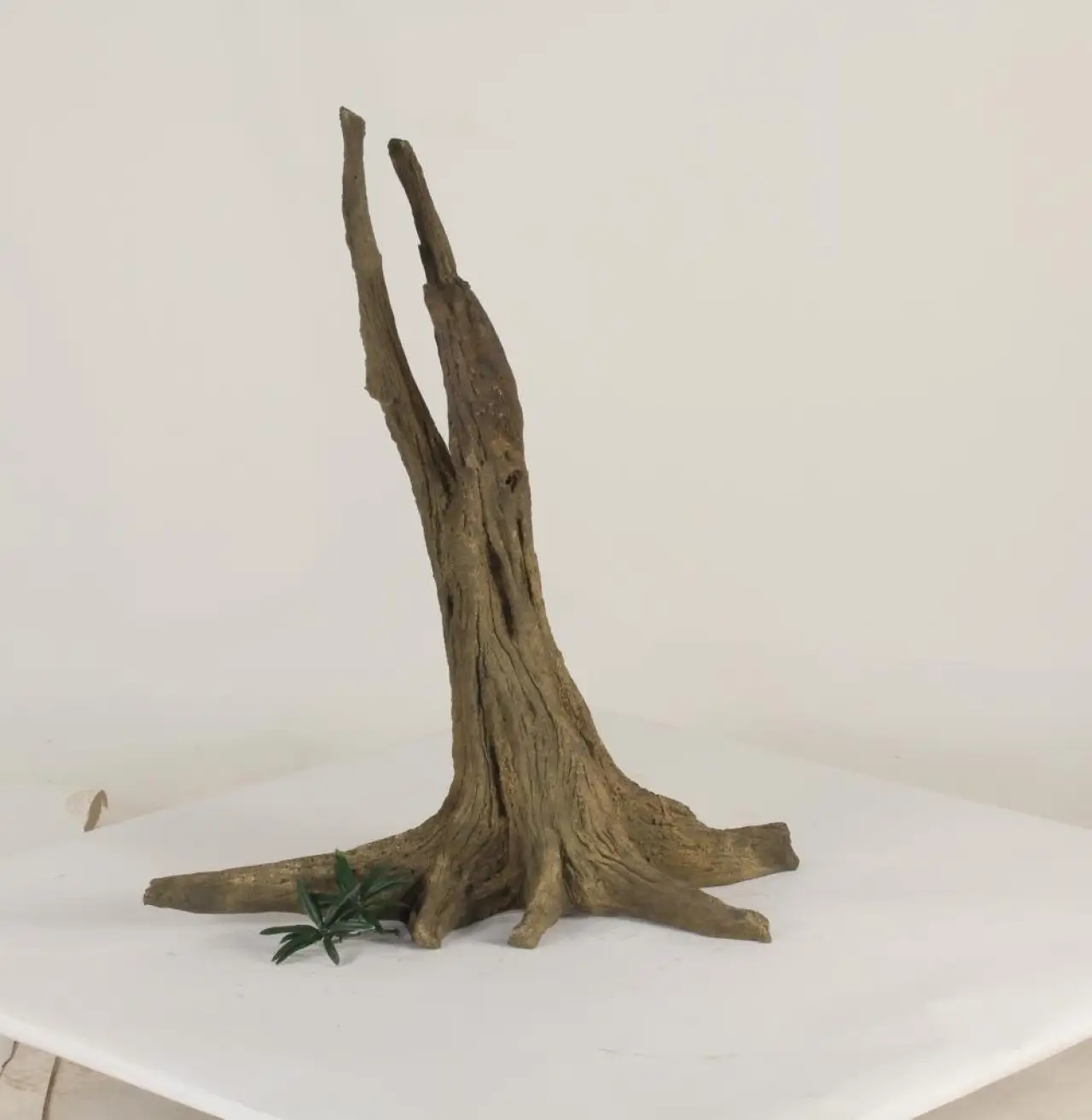 Tree Stump - 003