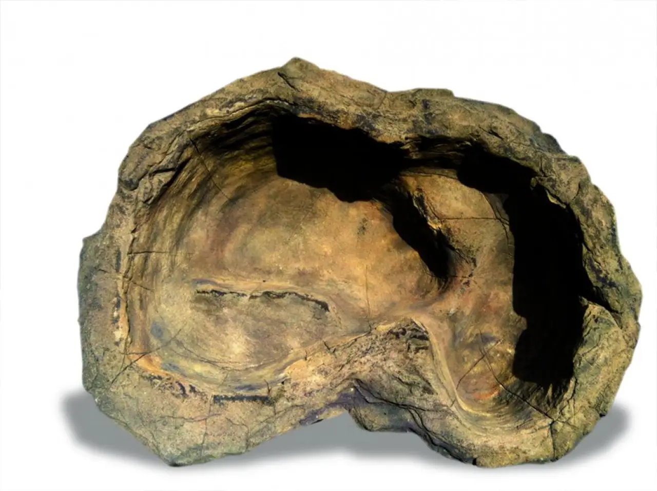 Medium Rock Pond-016