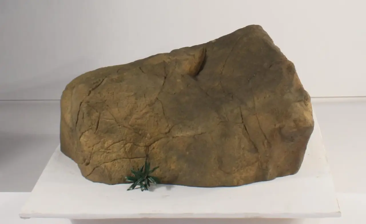 ROCK-008
