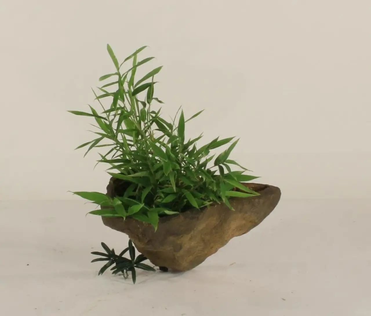 Wall Planter-002