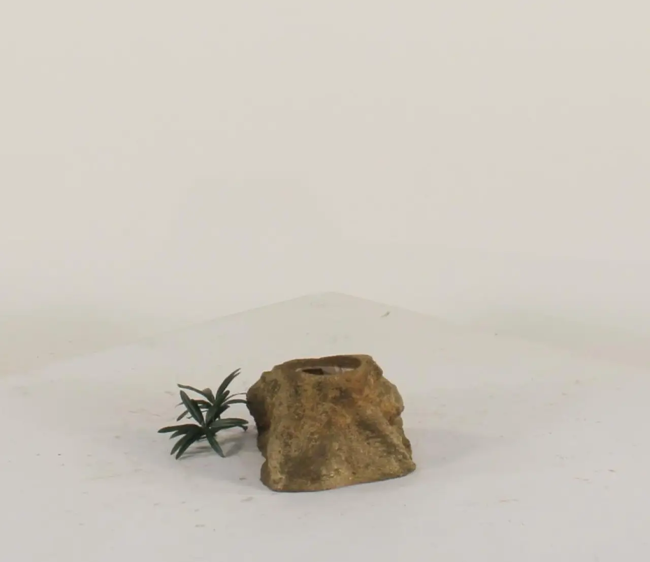 Pot Rock - 007