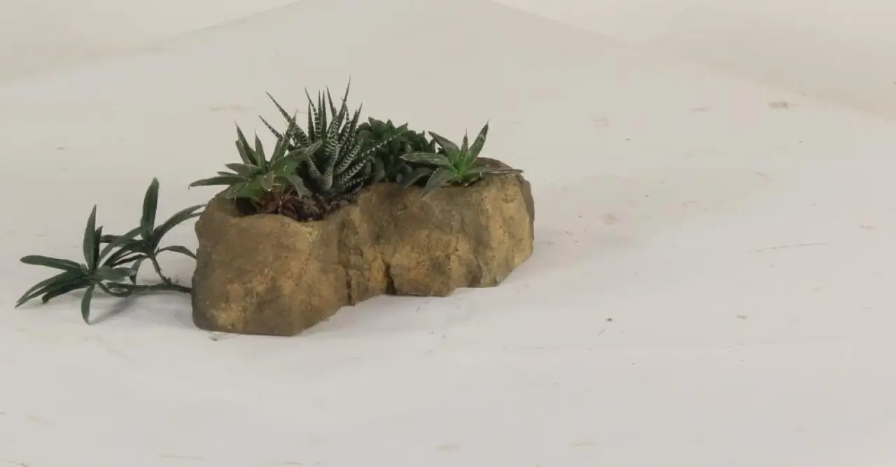 Pot Rock - 009