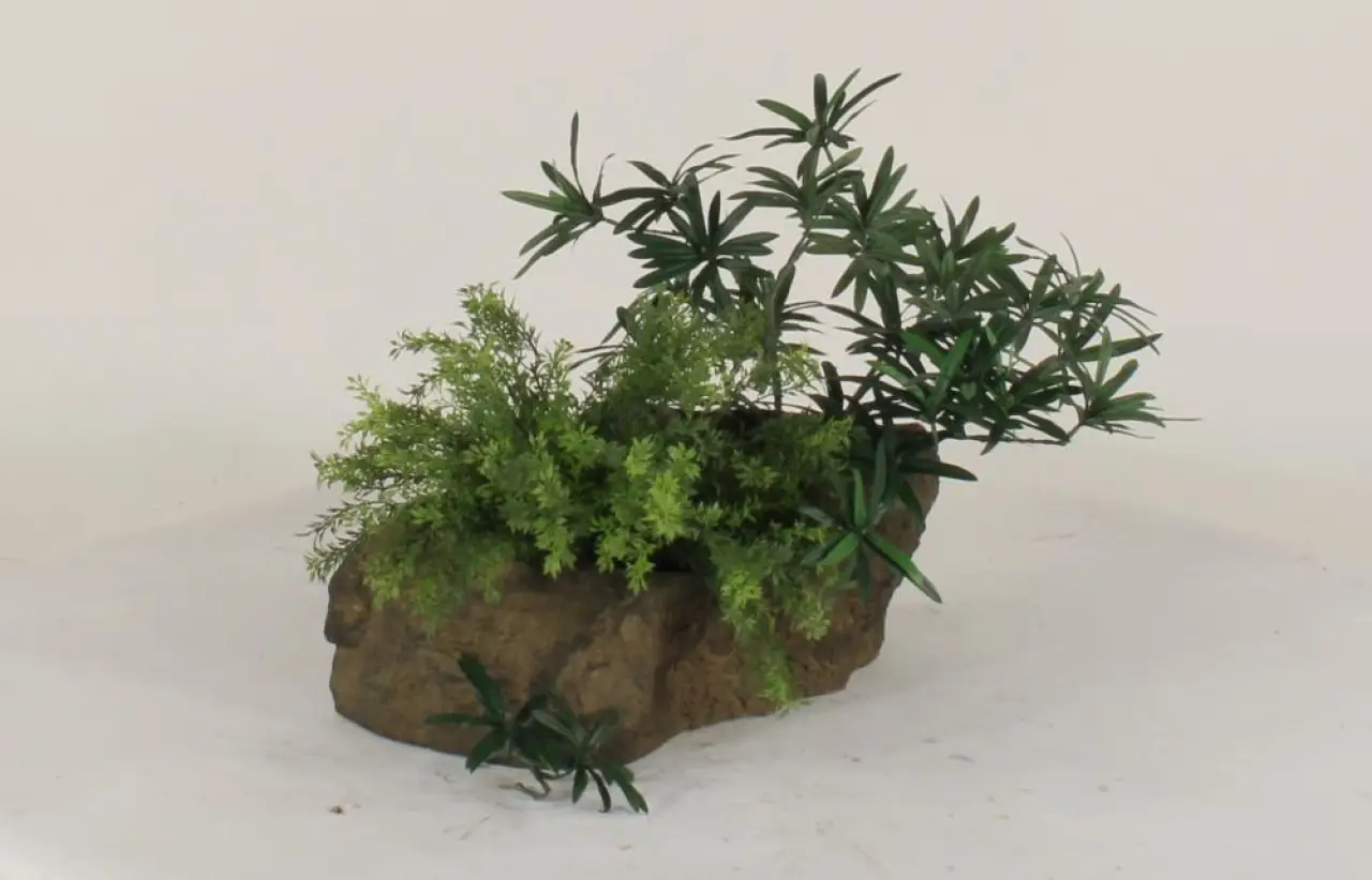 Pot Rock - 011