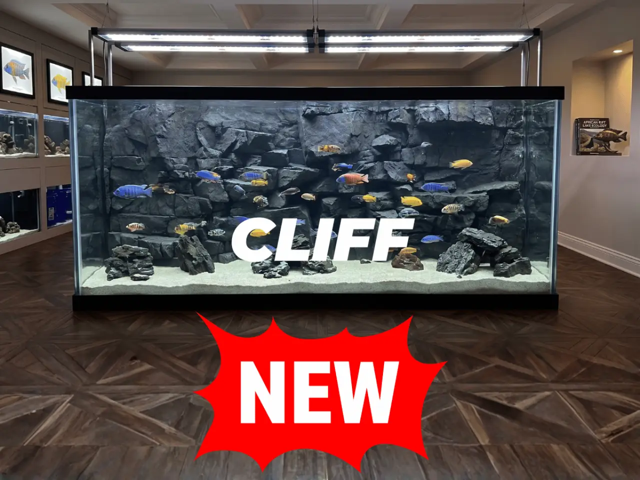 Cliff 3D Background for fish