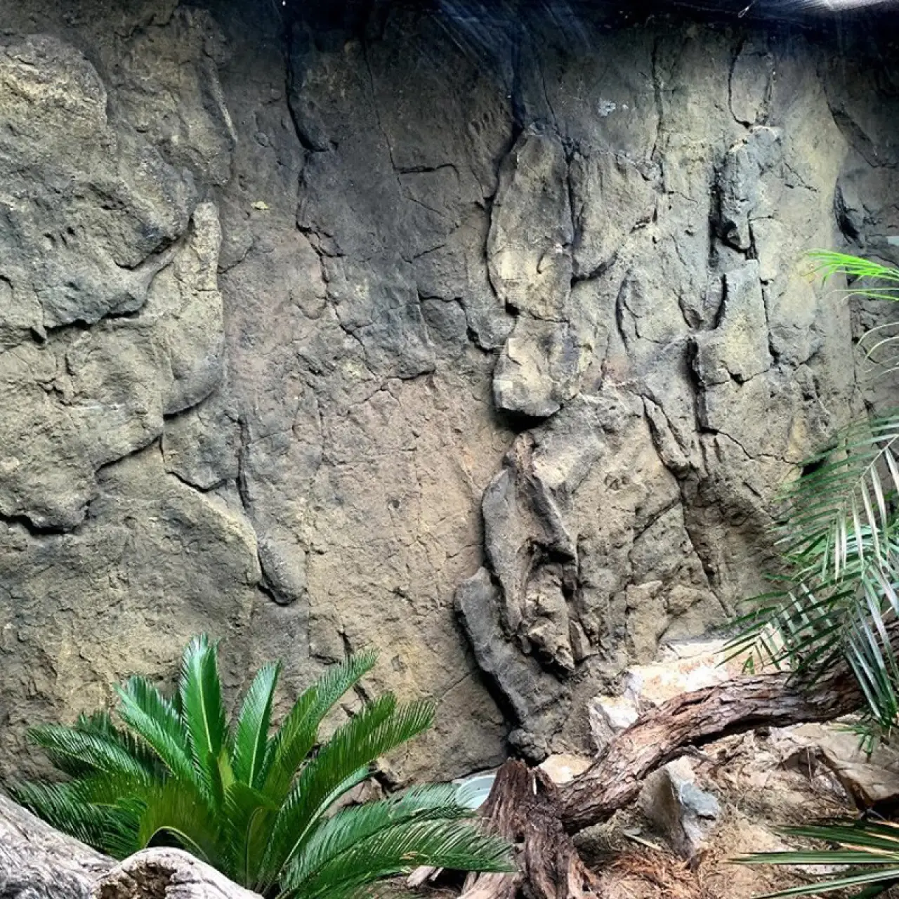 Grotto Rock Wall Panel 9' x 7'