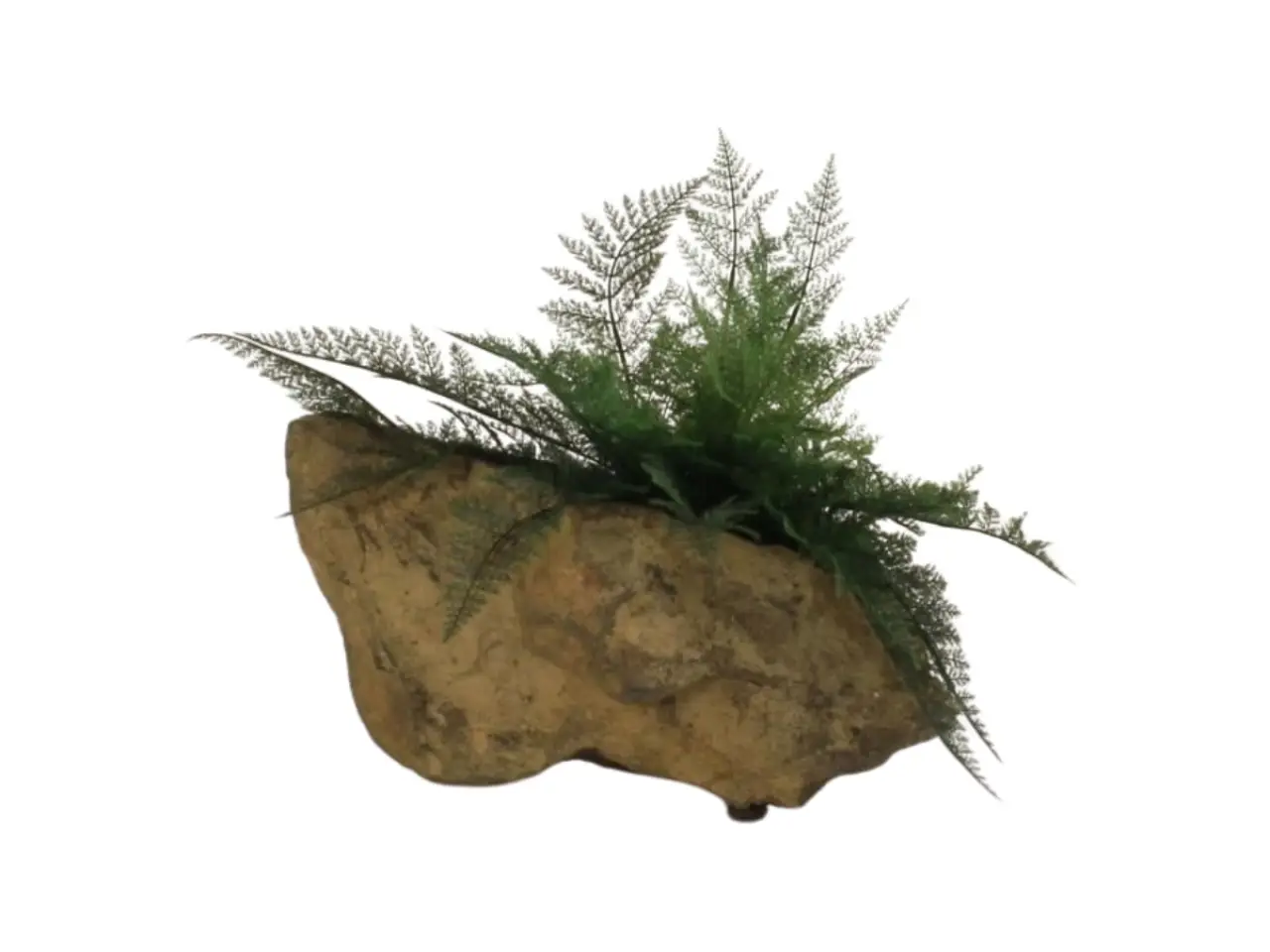 Wall Planter-003