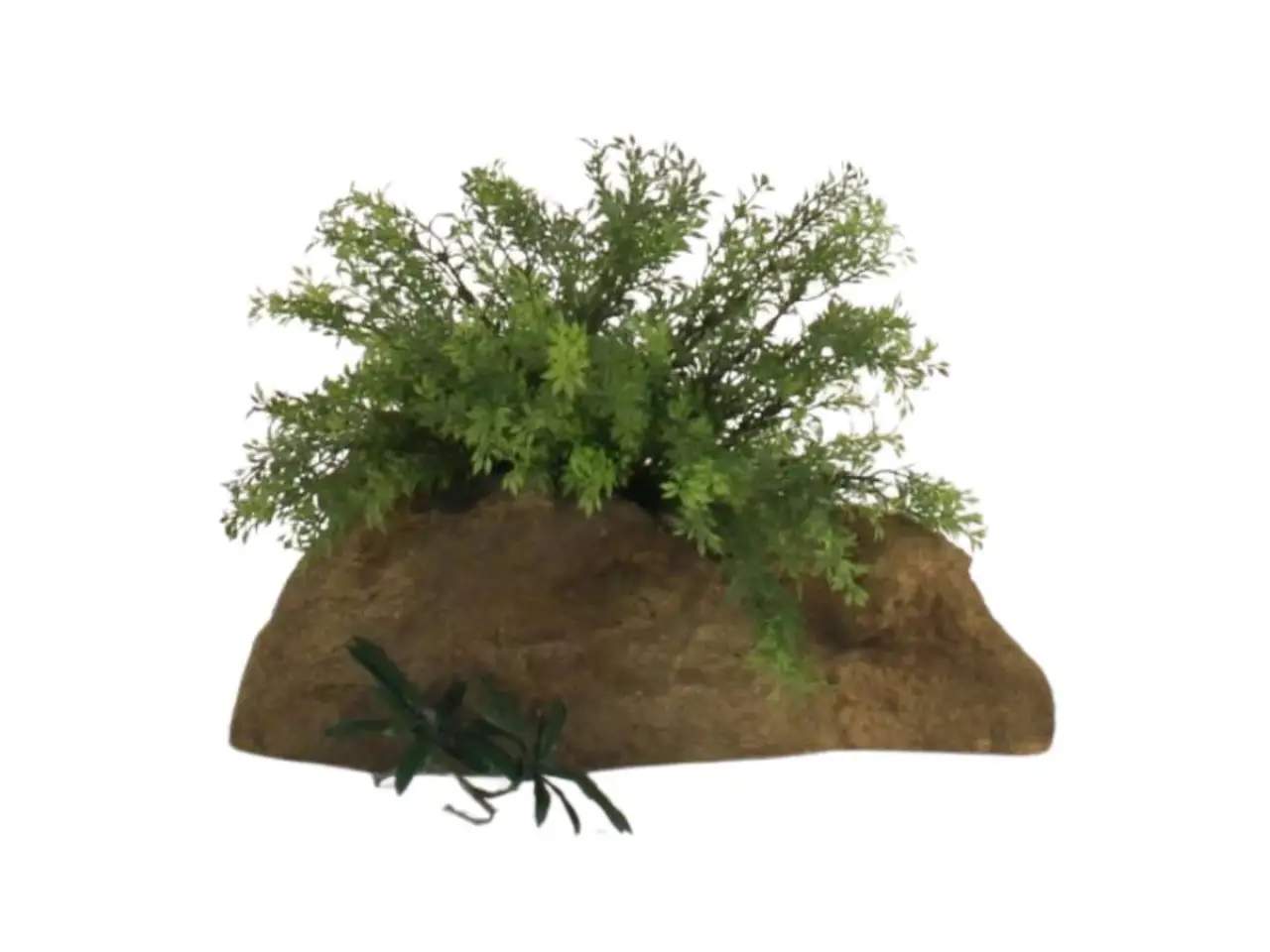 Pot Rock - 006