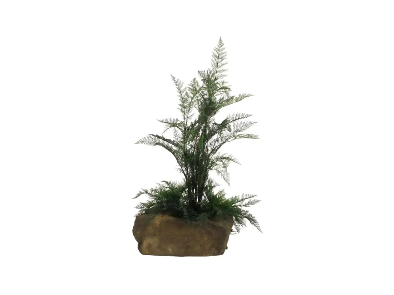 Pot Rock - 008