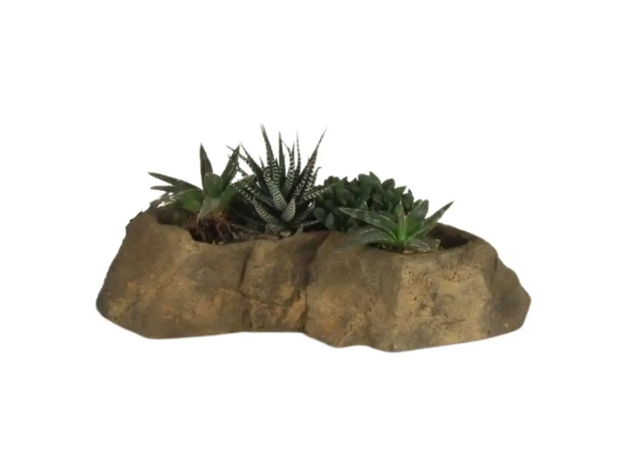 Pot Rock - 009