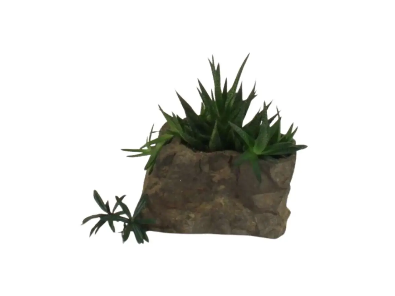 Pot Rock - 010