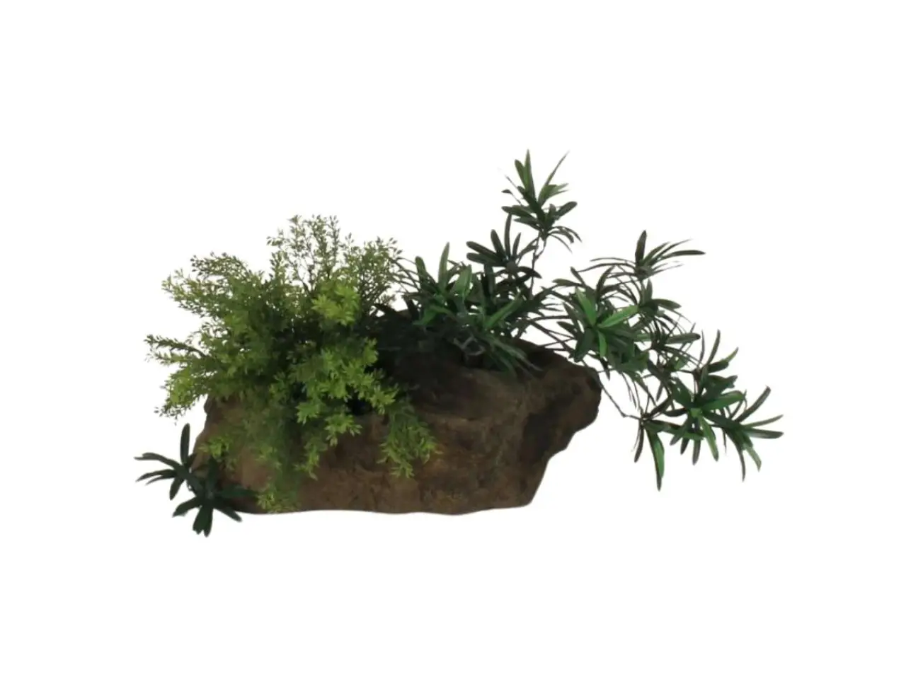 Pot Rock - 011