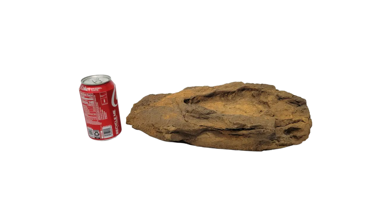 Rock Bowl - 018