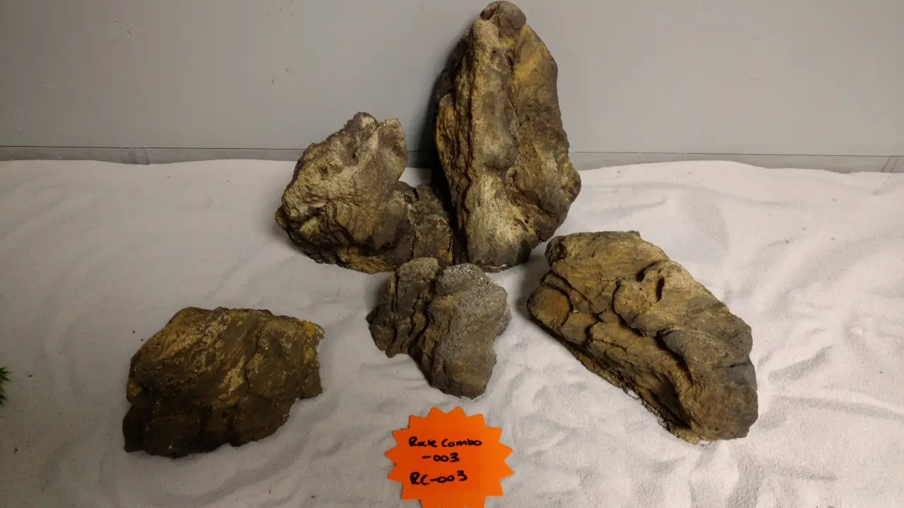 Rock Combo - 003