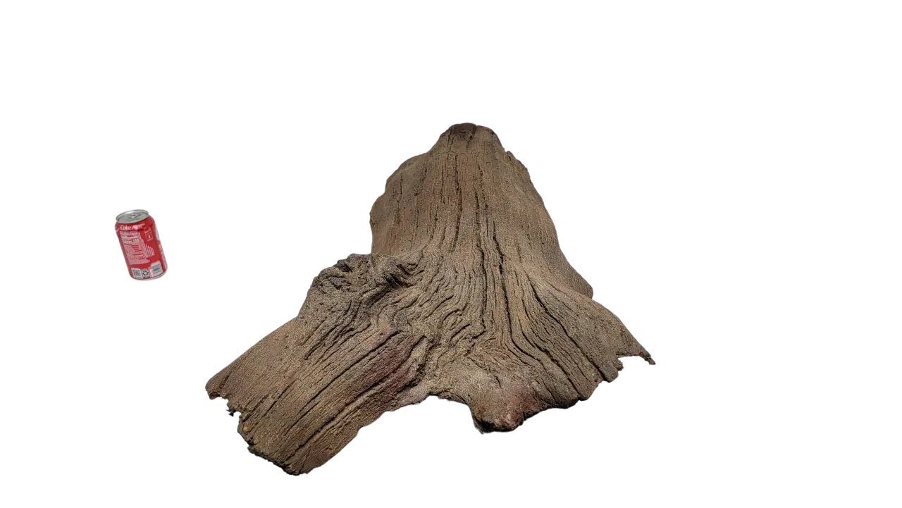 Sunken Log-001