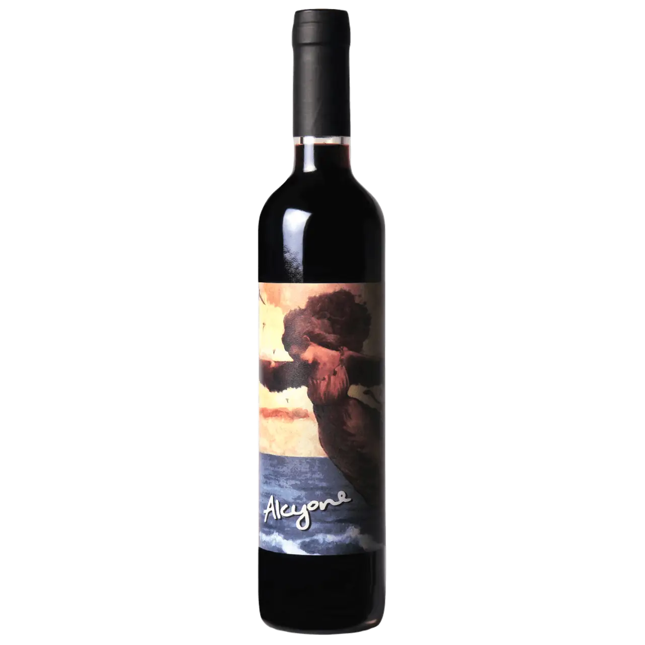 Viñedo De Los Vientos Alcyone Tannat Dessert Wine 500ml