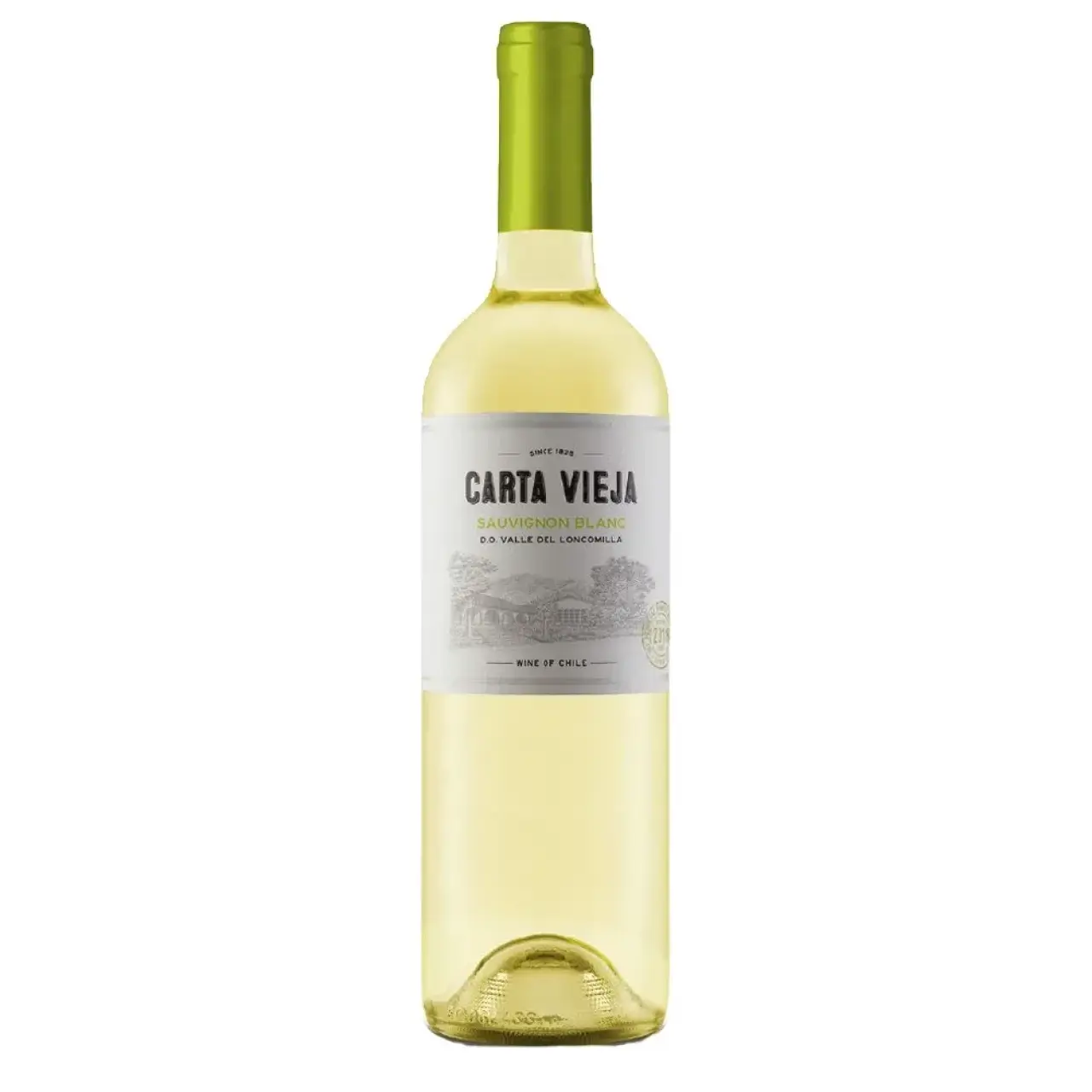 Carta Vieja Sauv Blanc 750ml