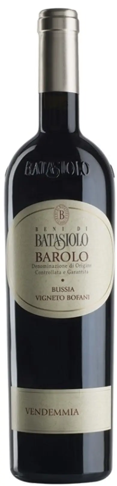 BATASIOLO BOFANI BAROLO '09