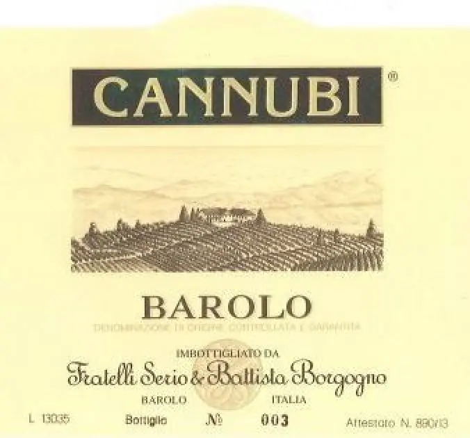 BORGOGNO BAROLO CANNUBI 2020