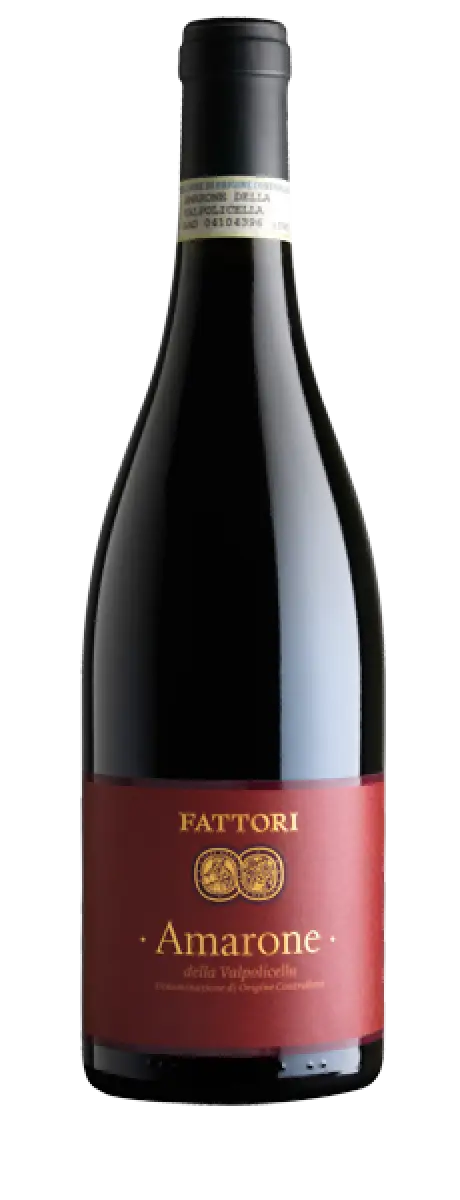 FATTORI AMARONE 750