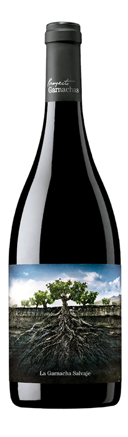 SALVAJE GARNACHA 750
