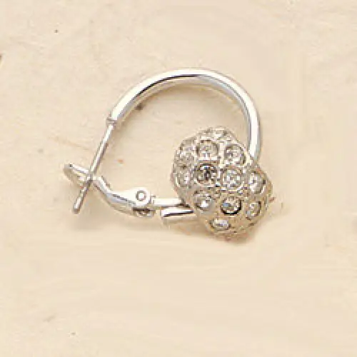 Combo #6  Crystal Beads with Hoops