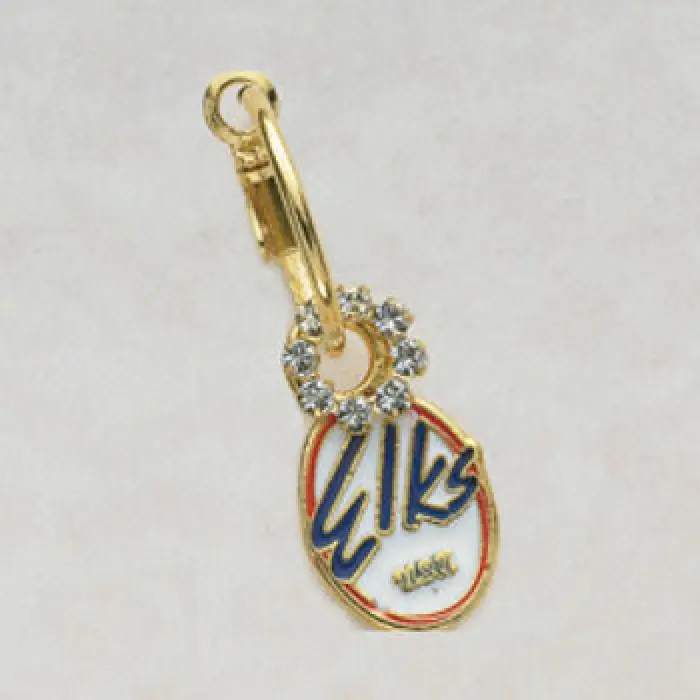 Elks USA charms $24 pair