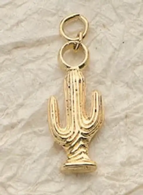 Cactus Charm Pair