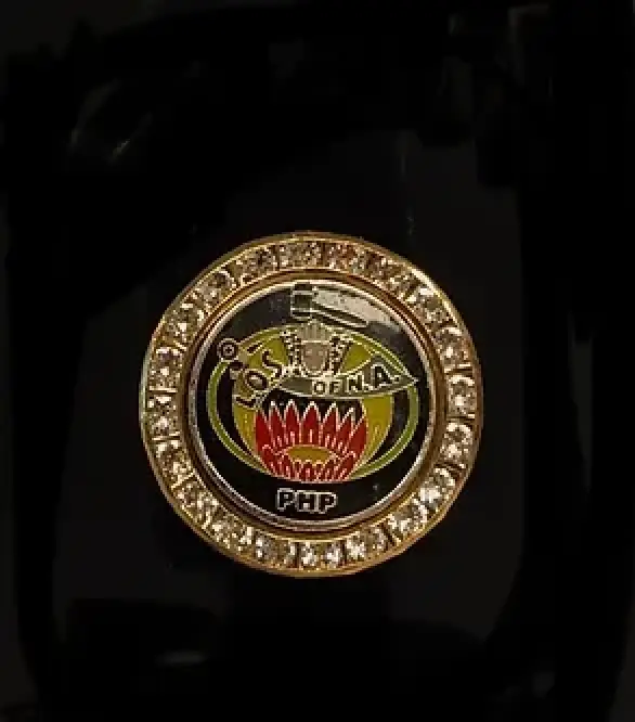 Ladies Oriental Shrine Crystal Lapel Pin