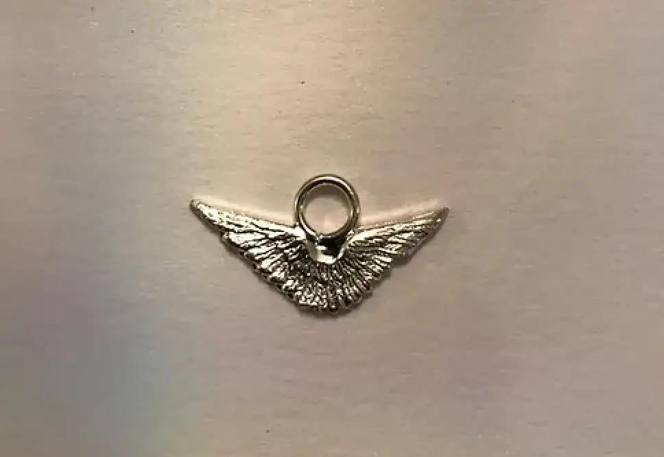 Wing Charms $28.00 Priced per pair