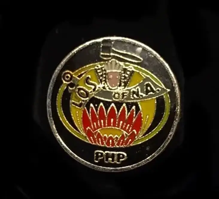 Ladies Oriental Shrine  Lapel Pin