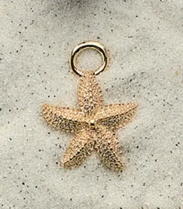 Chunky Starfish Charms  (priced per pair)