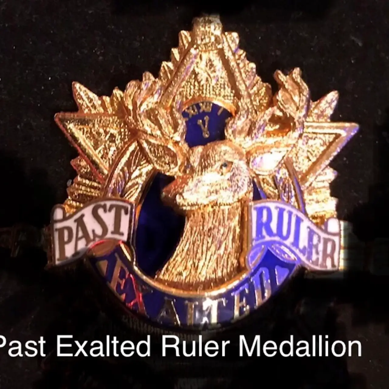 Elks Lodge Past Exalted Ruler Medallion with option to add  rope chain