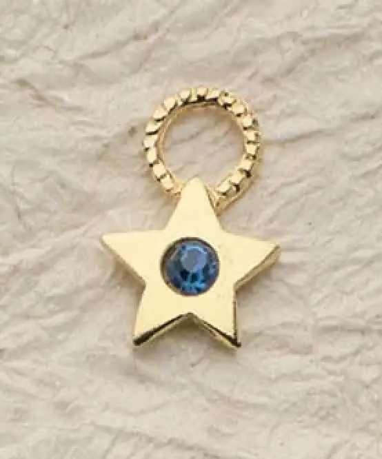 Sheriff Star Charm Pair