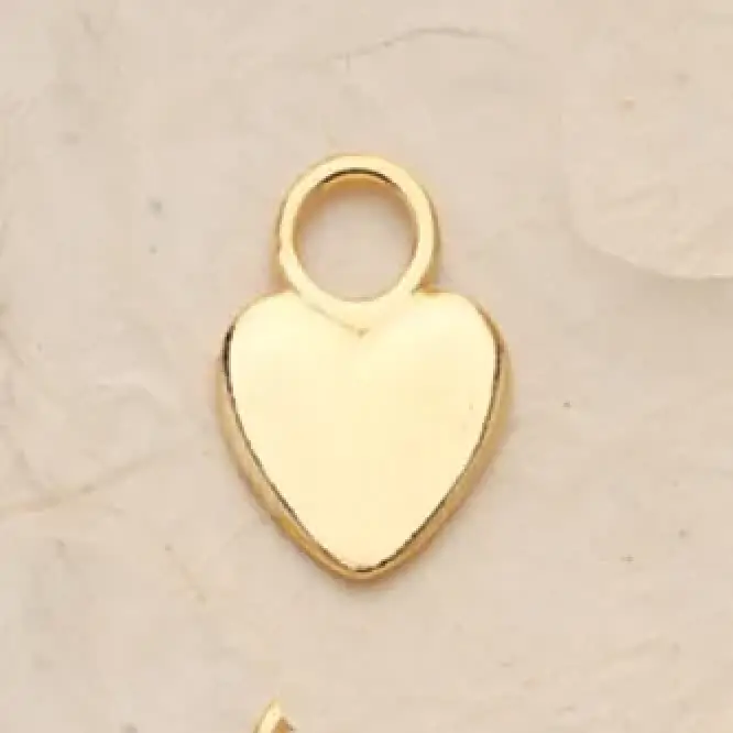 Polished Heart Charm Pair