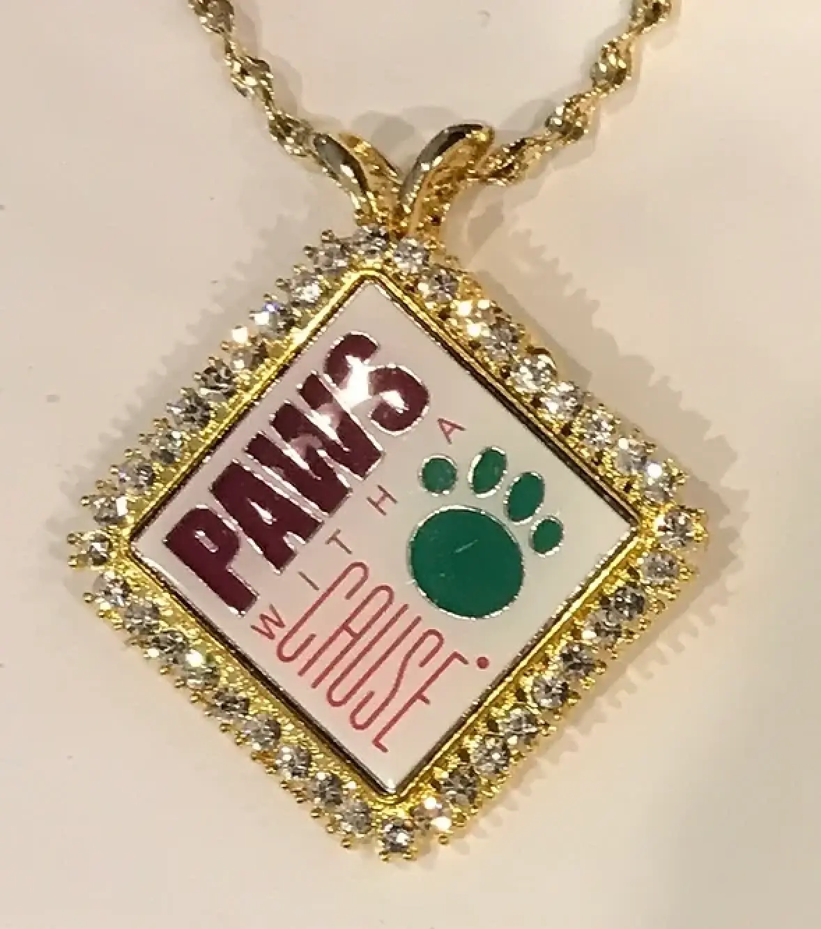 Paws With A Cause Medallion