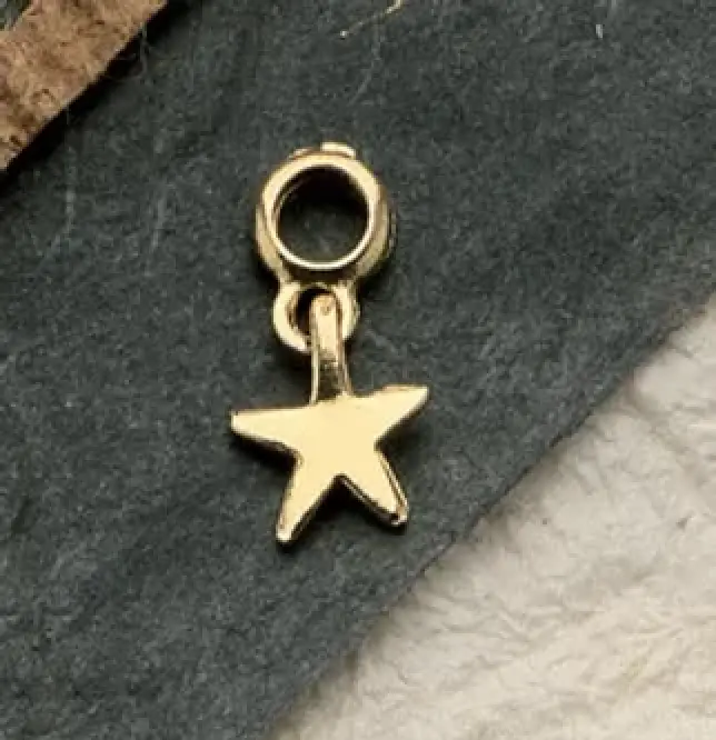 Swinging Star Charms $26  (priced per pair)