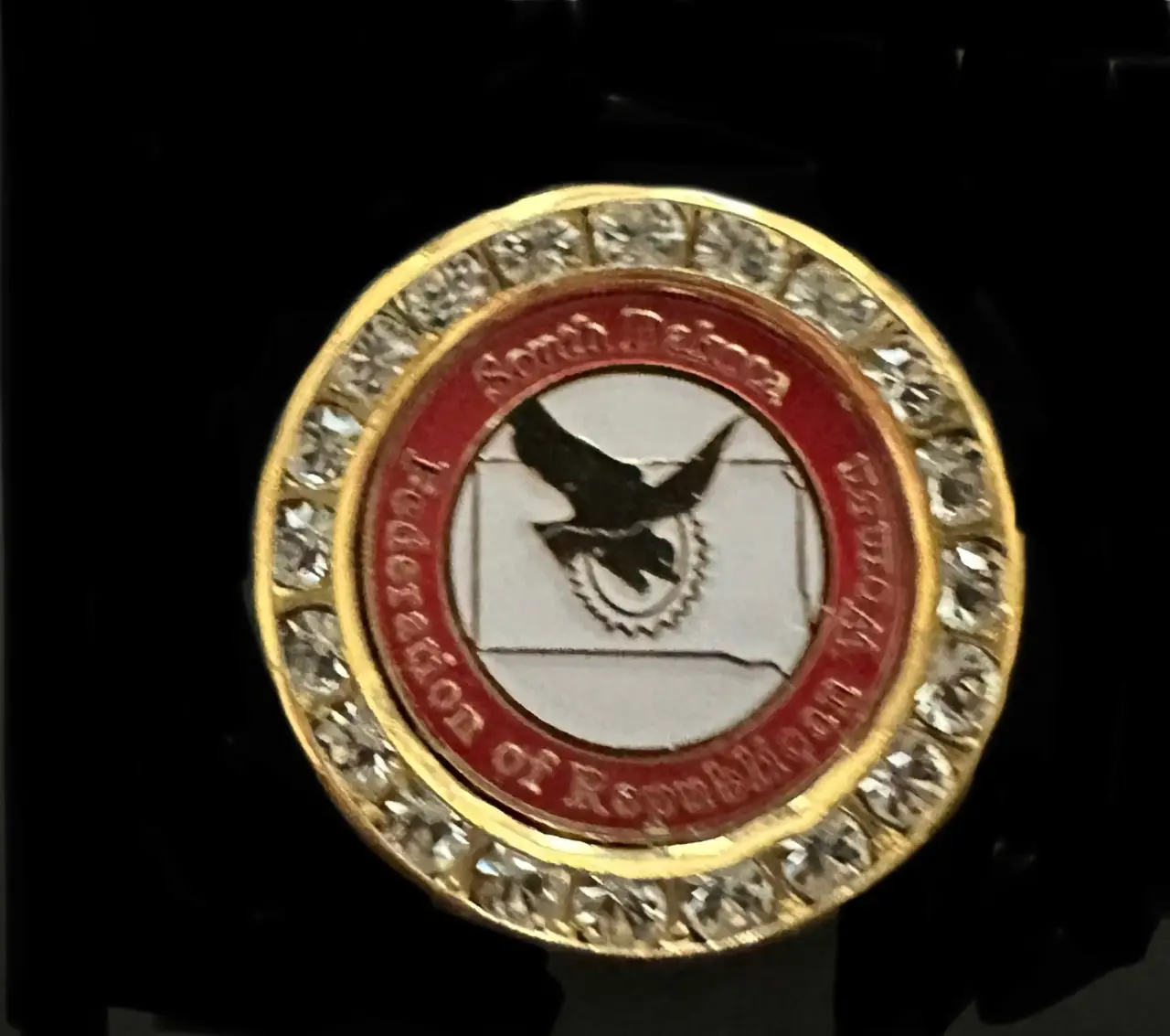 SDFRW  Crystal Pin $39 w/free shipping