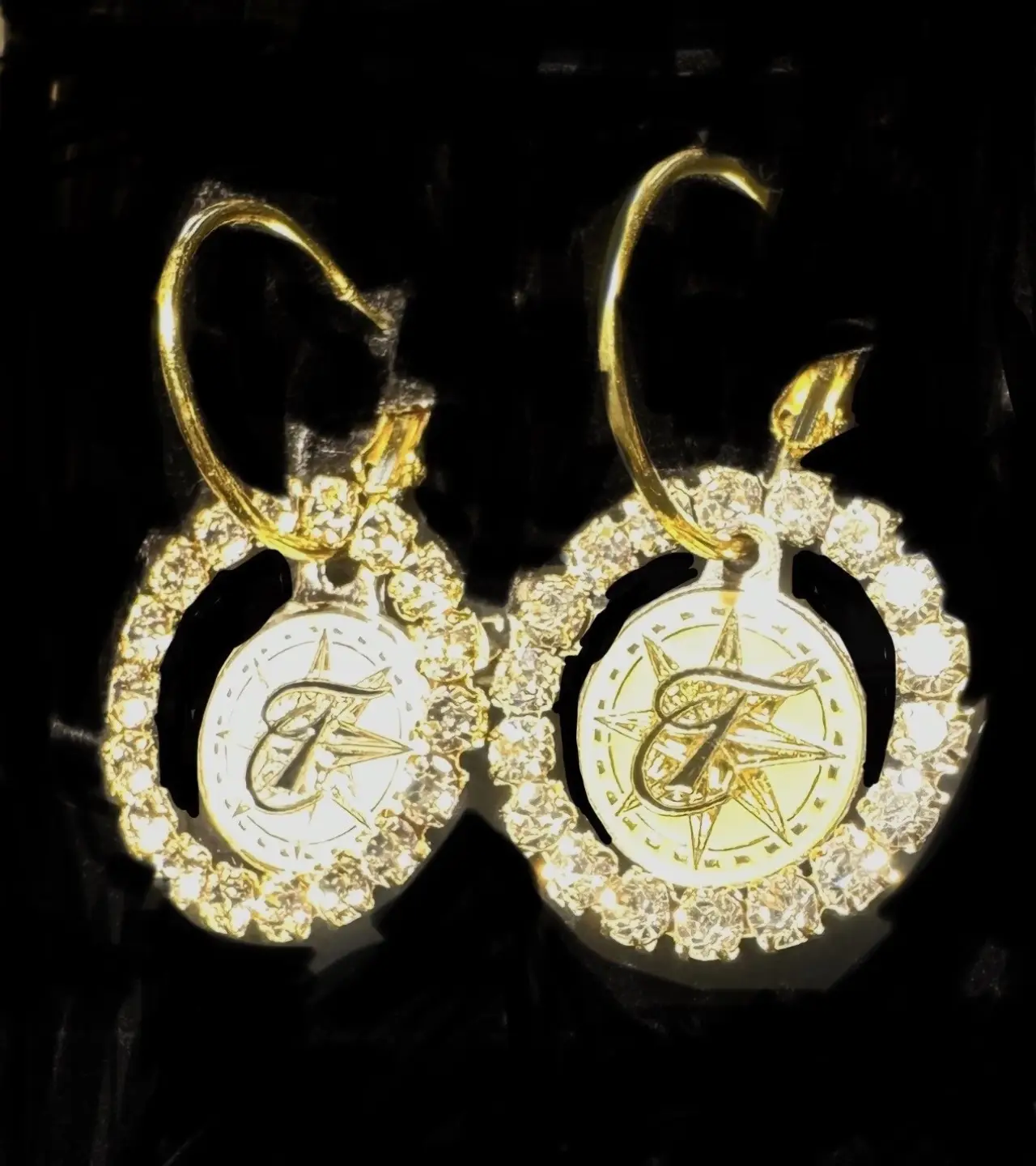 Tiffin Motor Coach Earring set  $79