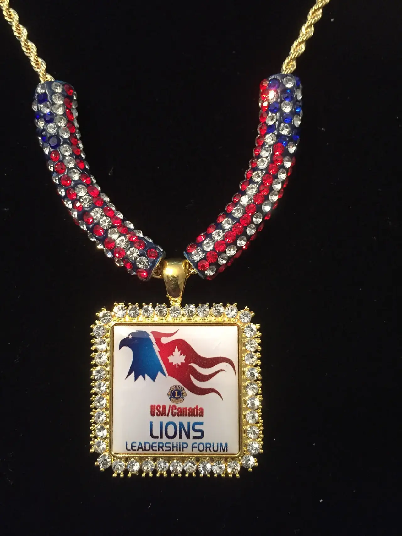Lions USA Forum Medallion $69