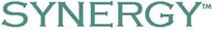 Synergy Series logo