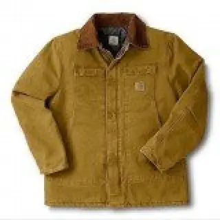 Carhartt Arctic Coat