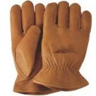 Carmel Buckskin Leather Gloves