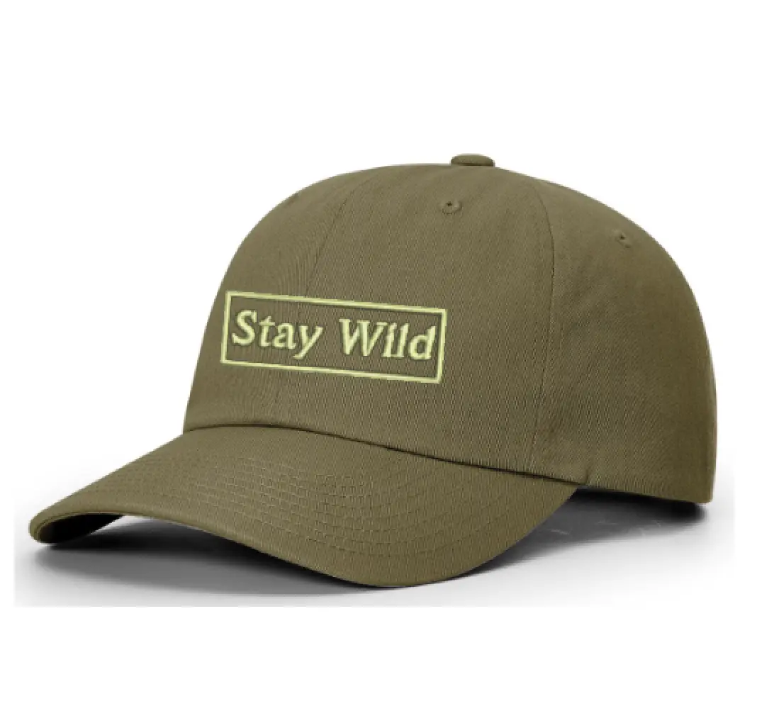 Stay Wild Box Embroidered Hat 252
