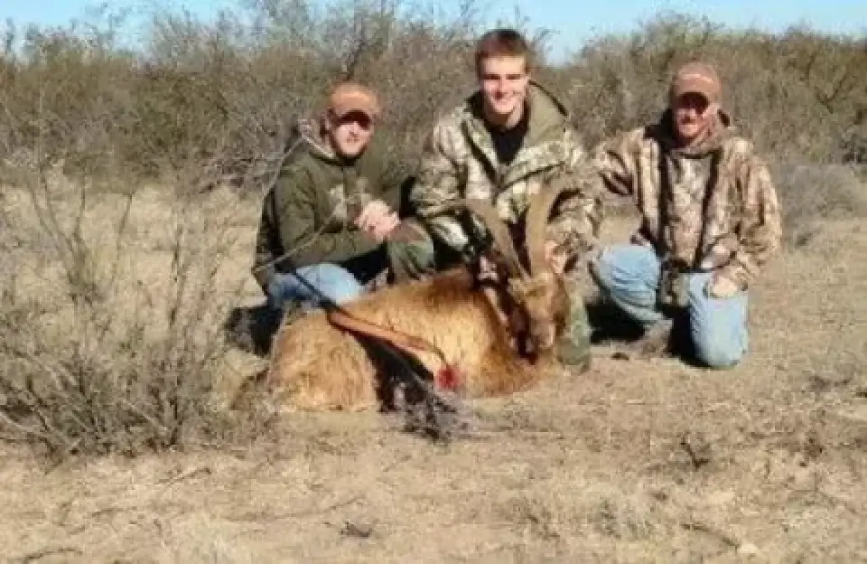 Three hunters kneel beside a harvested game animal in South Texas brush.