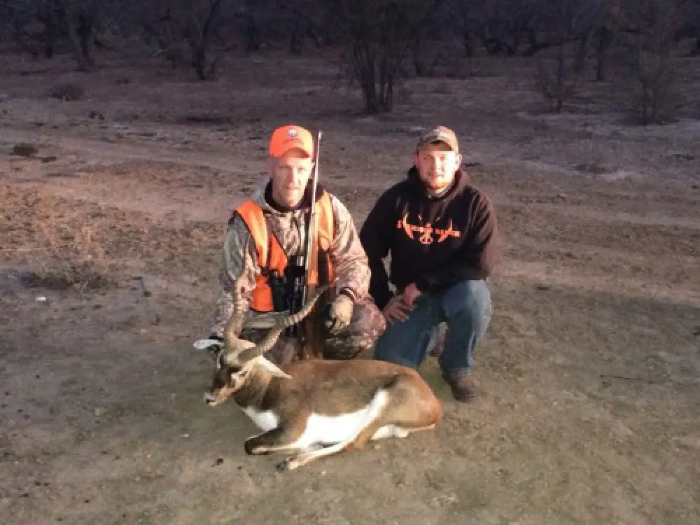 Blackbuck Antelope