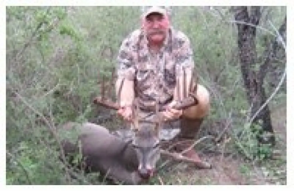 Whitetail Hunt