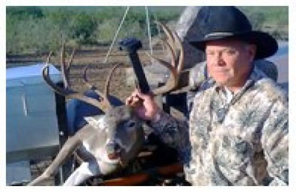 Whitetail